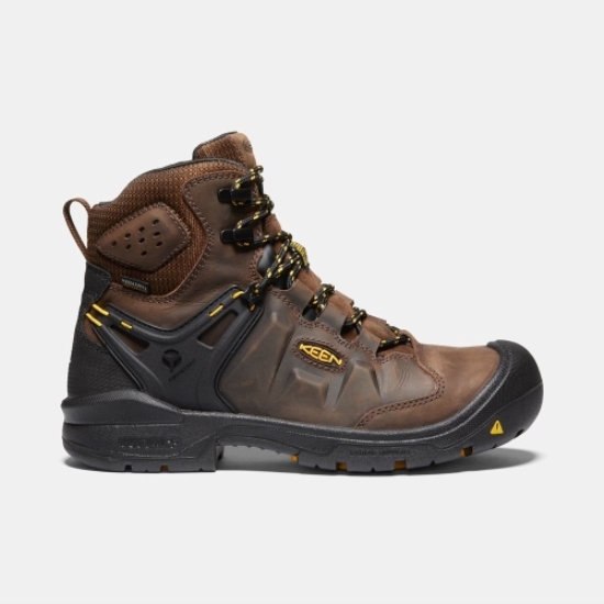 Brown Black Men's Keen Dover 6 Wp Work Boots | 03426HABS