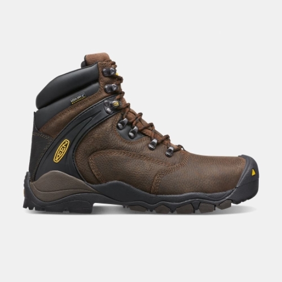 Brown Men's Keen Louisville 6 Steel Toe Work Boots | 74012IWPB