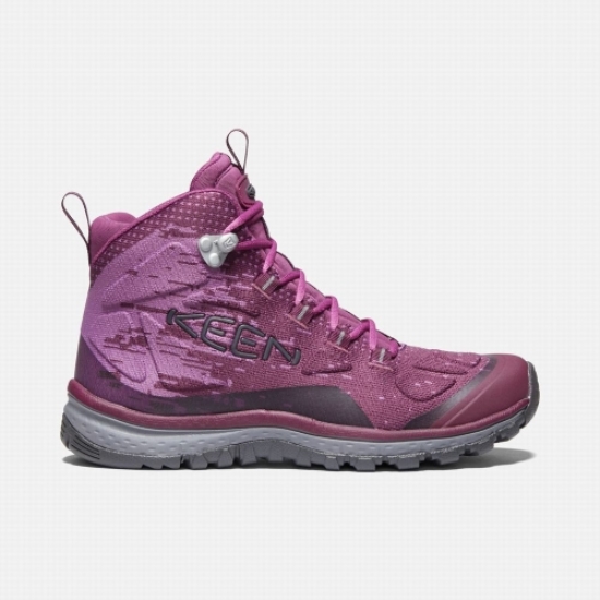 Purple Women's Keen Terradora Evo Mid Hiking Boots | 12856TKSR